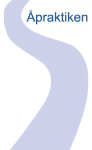 Åpraktiken AB logo