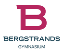 Bergstrands Gymnasium AB logo