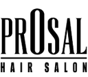 Professionell salong net AB logo