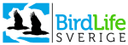 Sveriges Ornitologiska Fören Birdlife Sverige logo